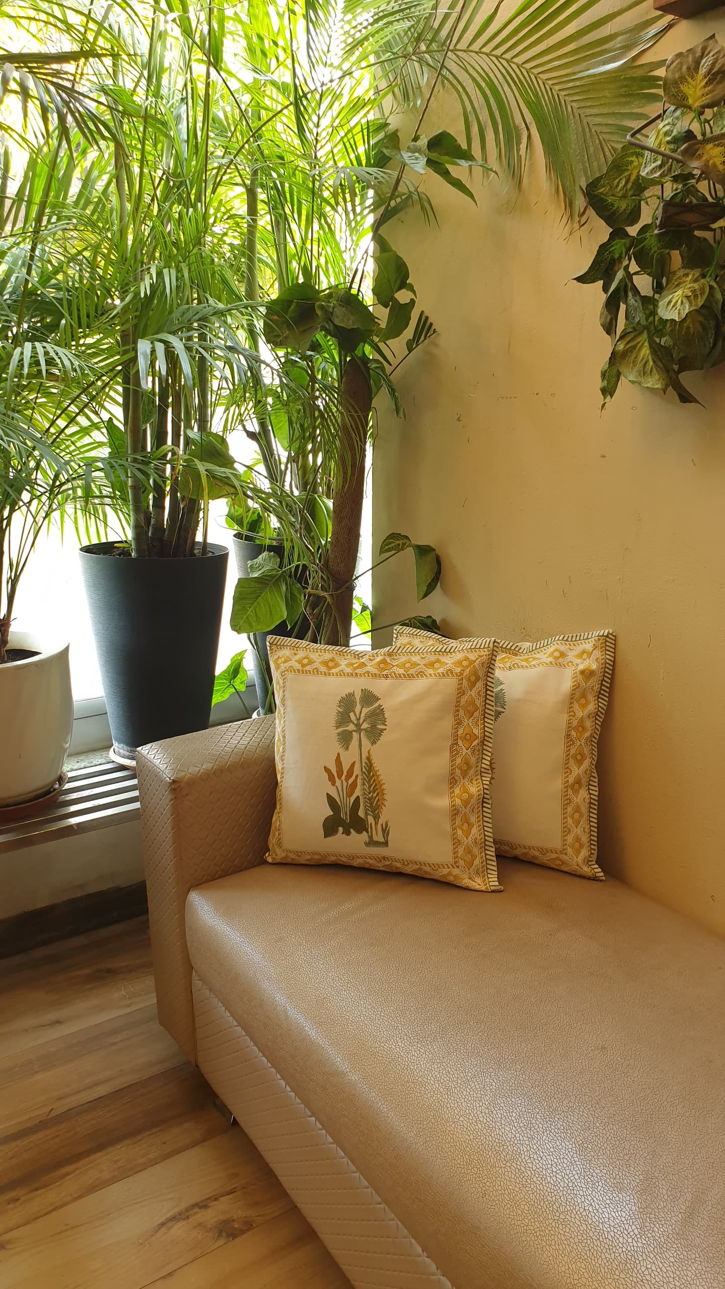 Dessert Guldasta Cushion Cover